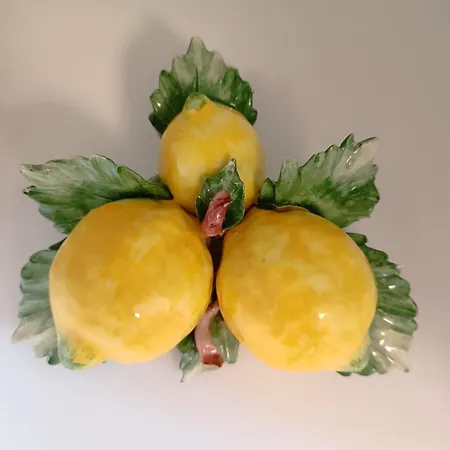 Dom wakacyjny Il Giardino Dei Limoni *