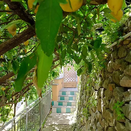 Dom wakacyjny Il Giardino Dei Limoni *