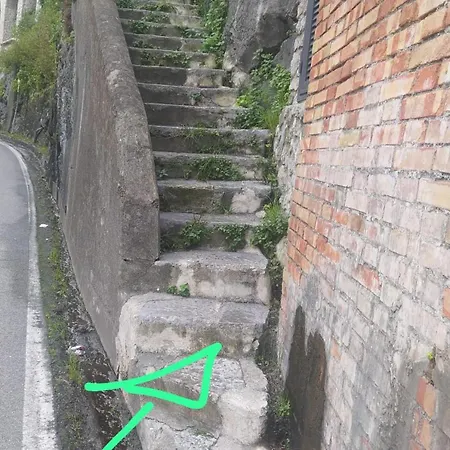 Il Giardino Dei Limoni *